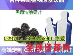 线下80ml黑莓浓缩果汁袋装饮品OEM加工厂图1