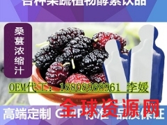 专营桑葚浓缩果汁袋装饮品ODM代工厂图1