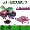 植物果粉代加工速溶乌梅营养粉OEM加工北京膳食纤维粉加工厂
