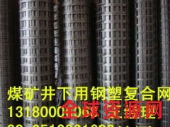 河北安平煤矿井下用钢塑复合网假顶钢塑网报价图1