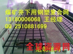 河北省矿用钢塑复合网矿用复合假顶网矿用格栅厂家图1