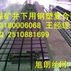 河北省矿用钢塑复合网矿用复合假顶网矿用格栅厂家