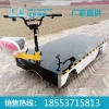 蓄电池电动平板车批发，蓄电池电动平板车价格