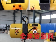 coyo环链电动葫芦、单相电环链电动葫芦图2