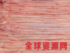 销售进口冷冻食品猪小肠 猪肚 猪脚 猪耳 鸡爪 鸡腿.图1