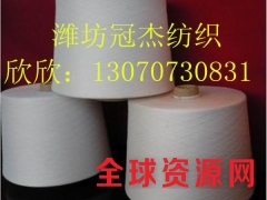 人棉40支+40D氨纶包芯纱 40支粘胶弹力纱图1
