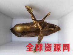 专业国际展会展品运输图2