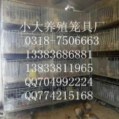 鸡鸽兔笼养殖设备宠物笼鹌鹑笼运输笼狐狸笼鸡笼鸽子笼兔子笼鸟笼