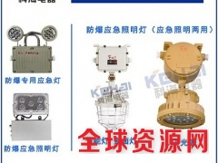 铝合金材质防爆应急照明两用灯 乐清科海专业生产订制图2