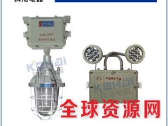 铝合金材质防爆应急照明两用灯 乐清科海专业生产订制图3