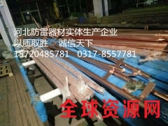 铜包钢接地棒的生产厂家,铜包钢接地棒的主要用途图2