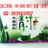 大麦若叶青汁粉oem贴牌