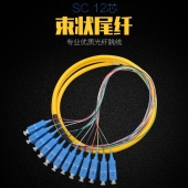 12芯SC束状尾纤单模束状光纤尾纤SC12芯延长线缆1.5米