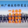 反恐紧急报警系统