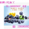 OEM叶黄素酯压片糖果代加工工