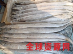 销售进口冷冻[猪小肠,猪头,马肉,马小肠,猪口条,鸡爪,鸡头图1