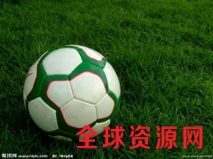 足球价格供应PU足球生产厂家图1