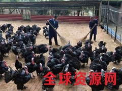 贝蒂娜，青铜，尼古拉、、、、图2