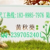 江苏周边黄秋葵压片糖果代工服务厂商