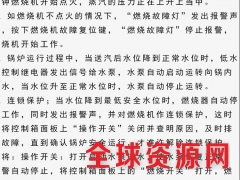 立式40kg燃油锅炉 柴油蒸汽锅炉烧水锅炉 热水锅炉图3