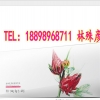 玫瑰茄益生菌粉贴牌生产厂家
