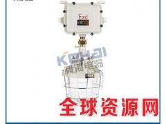 BCJ52吊杆式、吸顶式防爆应急照明两用灯 led专业防爆图2