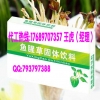 专业鱼腥草固体饮料加工贴牌厂家