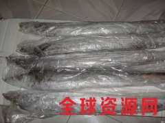 供应进口产品带鱼.马小肠.马肉.猪头.牛肚图1