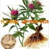植物提取罐装ODM贴牌