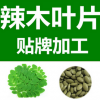 加工辣木叶片,辣木叶粉剂代工厂家
