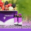 多莓酵素果味饮品加工|上海中邦OEM专业贴牌定制