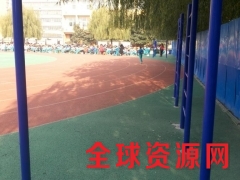 体育器材单杠型号单双杠生产厂家图1