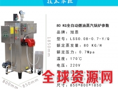 旭恩80KG燃油蒸汽发生器全自动家用甲醇采暖柴油锅炉图3