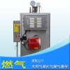 旭恩30KG小型商用燃气蒸气锅炉液化气锅炉