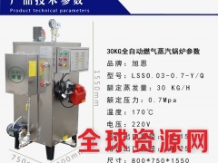 旭恩30KG小型商用燃气蒸气锅炉液化气锅炉图3