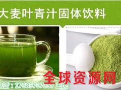 电商大麦青汁固体饮料DOM厂家哪家好图3