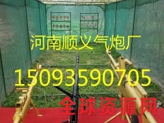 游乐气炮枪，专业定制，专注更好的产品图3