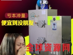 旭恩高科技50KG生物质燃料锅炉商行图1