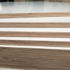 桉木芯免漆生态板 贴三胺纸生态板 多层层生态板基材