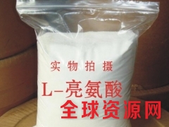 厂家直销食品级L-亮氨酸生产厂家图3