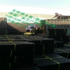 全国配送屋顶绿化阻根板+保质保量高层绿化排水板
