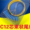 12芯束状尾纤SC方头FC圆头单模光纤跳纤电信级