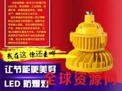 防爆防腐LED灯 Led工厂防爆灯 BAD808-M图2