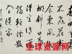神州书画院图1