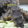 黑石岛即食海参怎么样