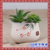 中国风陶瓷花盆白瓷花盆花瓶花盘带托盘多肉花盆水培植物