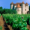 法国进口葡萄酒报关资料|法国葡萄酒进口报关公司