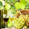 法国进口葡萄酒清关资料|法国葡萄酒进口清关公司