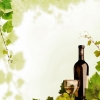 西班牙葡萄酒进口代理|西班牙葡萄酒进口代理公司