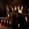 阿根廷进口红酒细节流程,报关代理费用